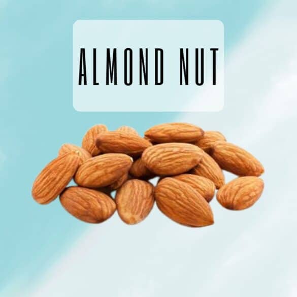 Almond Nuts