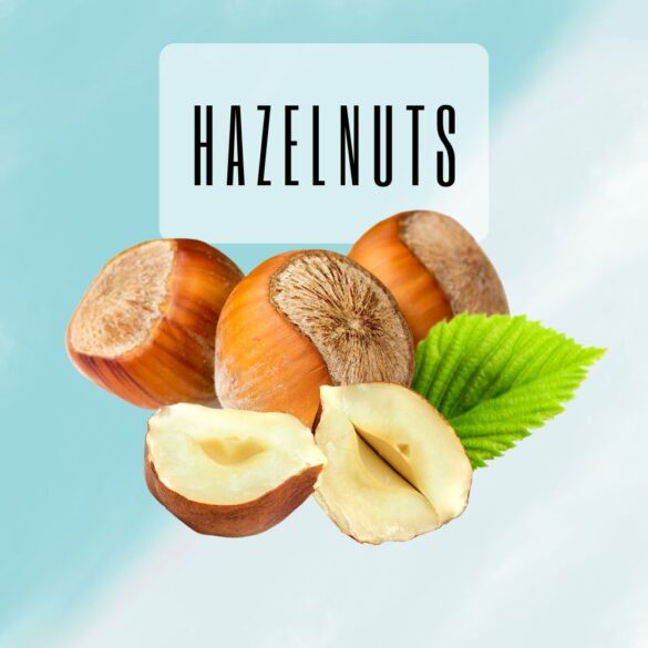 Hazelnuts and Dark Chocolate: A Nutritious, Healthy Snack for Any Occasion